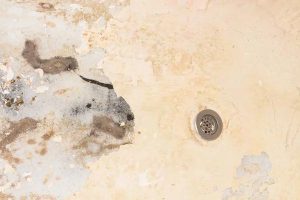 Water Damage vs. Flood Damage: Understanding the Difference